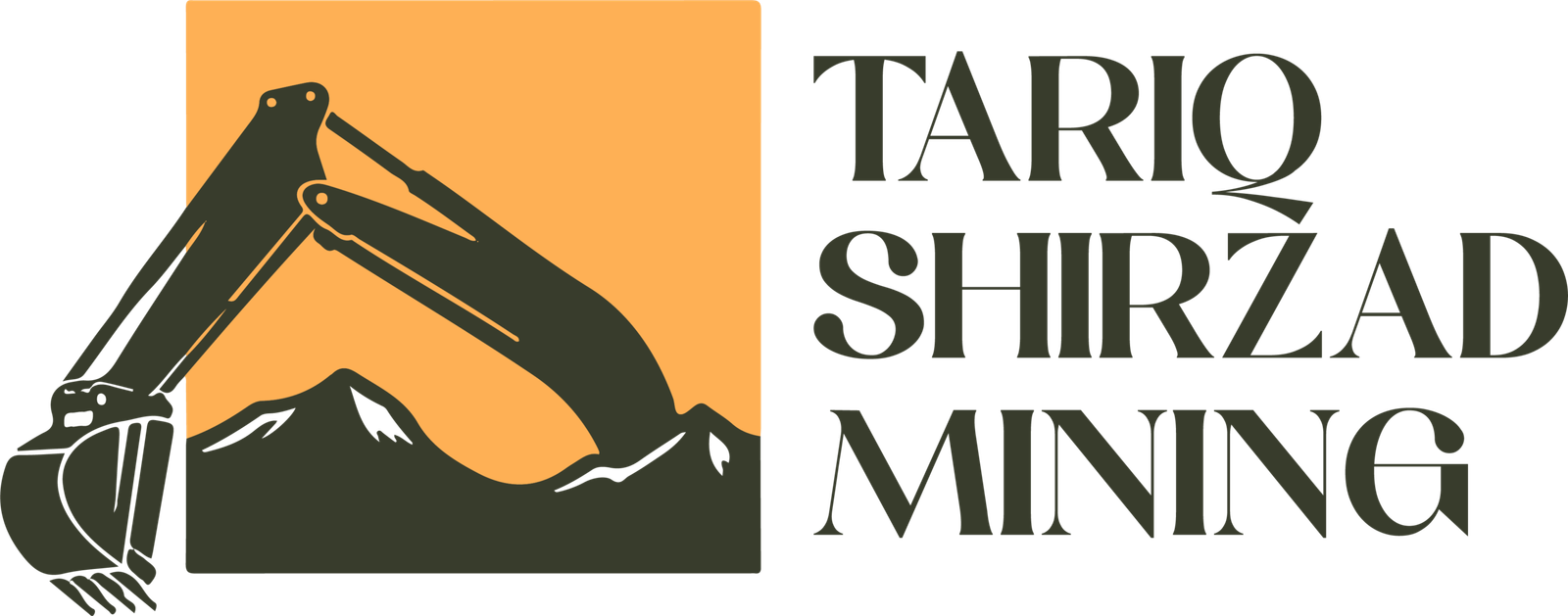 Tariq Shirzad Mining
